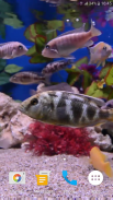 Aquarium 4K Live Wallpaper screenshot 7