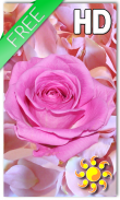 Rose Petals Live Wallpaper screenshot 0