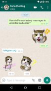 Novos Adesivos Para Chating -Stickers for WhatsApp screenshot 6
