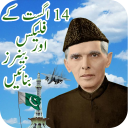 Pak Flag Flex maker 14 august