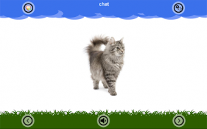 Sons d'animaux et sonneries screenshot 5