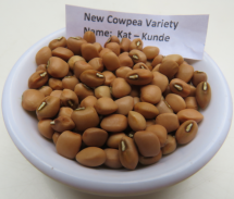 KALRO New Cowpea Varieties screenshot 6