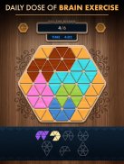 Woody Poly Block Hexa Triangle screenshot 9