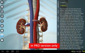 Anatomy 3D - Anatronica screenshot 4