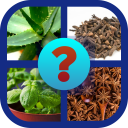 Guess name - Herbs and Spices