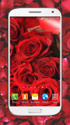 Red Roses Live Wallpaper HD screenshot 3