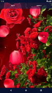 3D Red Rose Live Wallpaper screenshot 3