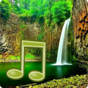 Jungle Sounds Icon