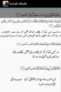 Surah Mulk with mp3 screenshot 5