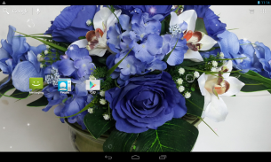 Hoa hồng xanh biếc screenshot 13