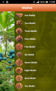 Rudraksha screenshot 6