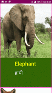 Learn English Wildlife and Body Parts Names screenshot 4