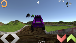 Rugged Race screenshot 2