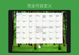 DigiCal 日历 中文行事历 screenshot 14