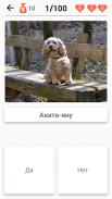 Породы собак – Фото-тест screenshot 3