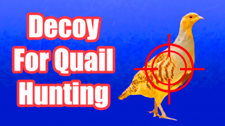 Decoys For Quail For Hunting screenshot 1