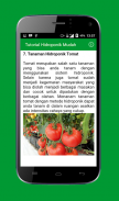 Tutorial Hidroponik Mudah screenshot 1