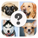 Which Dog Breed Are You? Icon