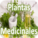 Plantas Medicinales Icon