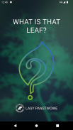 What is that leaf? screenshot 3