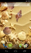 Sea shells Live Wallpaper screenshot 4