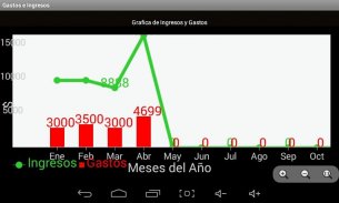 Control Gastos e Ingresos screenshot 8