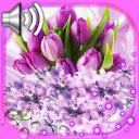 Spring Flowers live wallpaper Icon