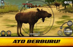 Wild Hunt: Permainan Berburu screenshot 15