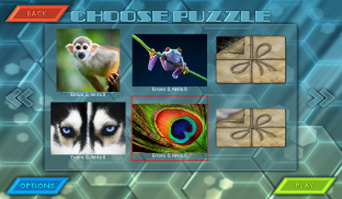 HexLogic - Zoo screenshot 11
