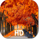 Autumn Season HD Wallpapers Icon