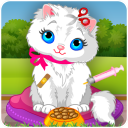 Cat Caring and Makeover Icon