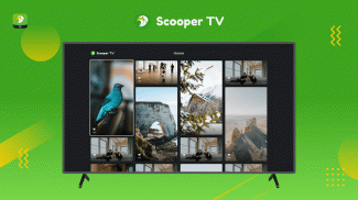 Scooper Video screenshot 0