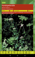 Essbare Wildpflanzen Lite screenshot 14