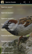 Sparrow Sounds screenshot 0