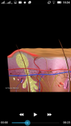 Dermatology - Medical Dict. screenshot 1