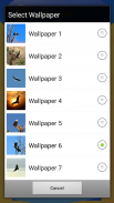Eagle Live Wallpapers screenshot 7