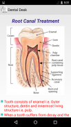 Dental Desk screenshot 1