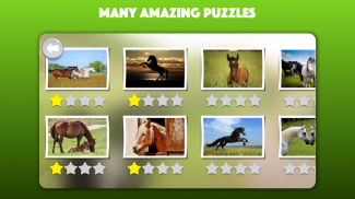 Horse and Pony jigsaw puzzles screenshot 1