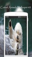 Cutest Animals Wallpapers screenshot 3