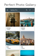 Galerie Pro: Foto-Manager & Editor screenshot 7