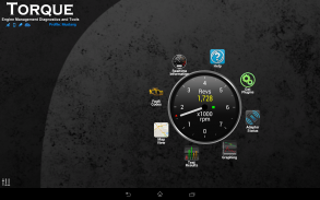 Torque Pro (OBD2 / Carro) screenshot 12