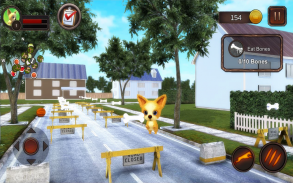 Chihuahua Dog Simulator screenshot 19