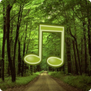 Forest Sounds Nature To Sleep Icon