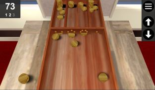 Dutch Shuffleboard screenshot 3