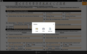 PDF Form 433 A for IRS: Sign Income Tax eForm screenshot 3