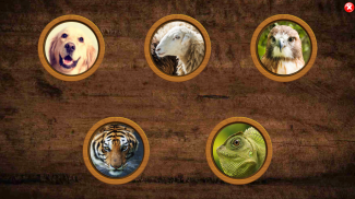 All Animals Pairs Memory Game screenshot 17