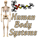 Human Body Systems Icon