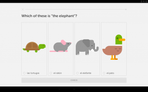 Duolingo: แอปเรียนภาษา screenshot 5