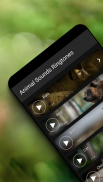 Tonos de Animales para Celular screenshot 2