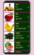 Learn Hindi from Tamil Pro screenshot 7